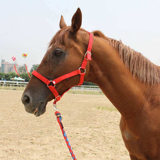 Horse Halter