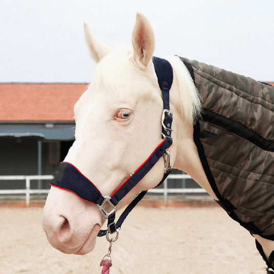 Fleece Lined Halter