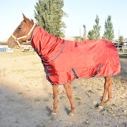 Horse Rug